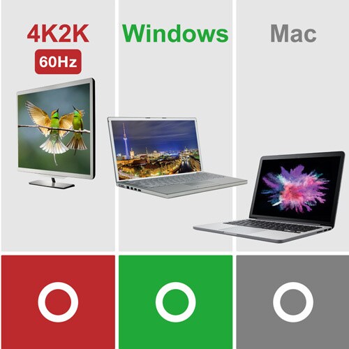 変換アダプタ タイプC HDMI 60Hz