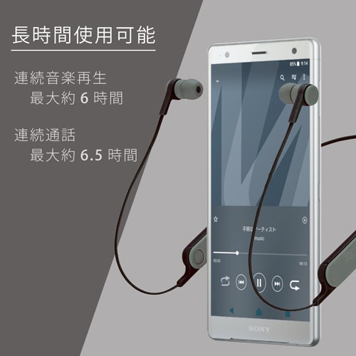 ワイヤレスイヤホン オーディオ スモークブラック