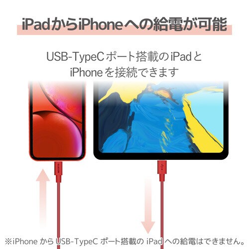 C−ライトニング 1.0m レッド