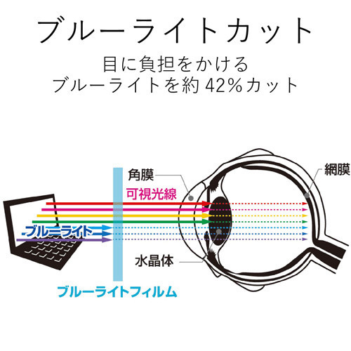 vCoV[tB^[@̂h~@炩^Cv