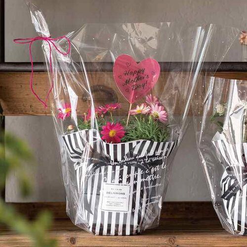 BKFギフトOPPポットバッグ−M 50枚