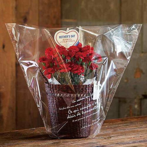 BKFギフトOPPポットバッグ−M 50枚