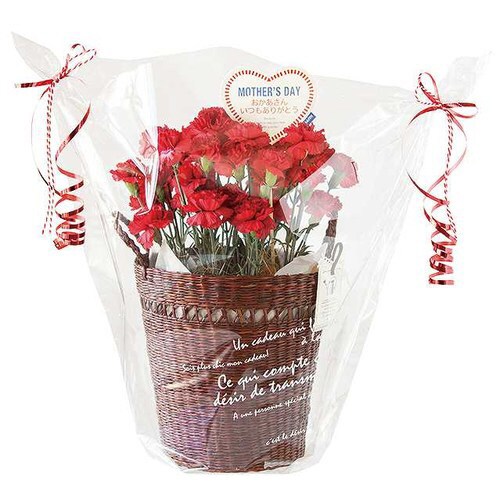 BKFギフトOPPポットバッグ−M 50枚