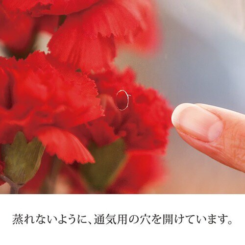 BKFギフトOPPポットバッグ−M 50枚