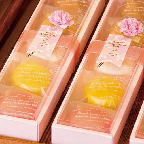 BKFテープ付OPPバッグ−1 100枚×5