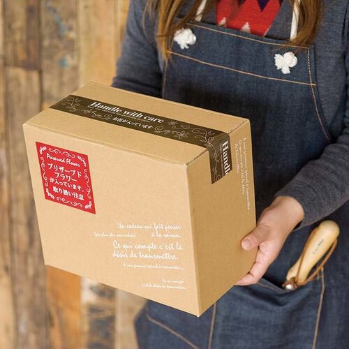 BKFデリバリーカートン−4 10枚×2