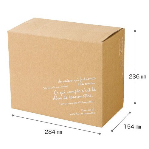 BKFデリバリーカートン−4 10枚×2