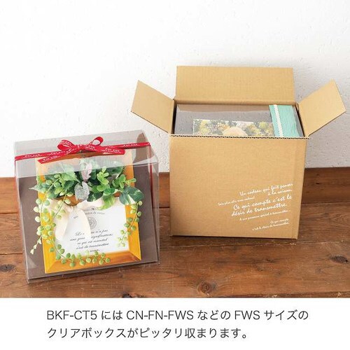 BKFデリバリーカートン−5 10枚×2