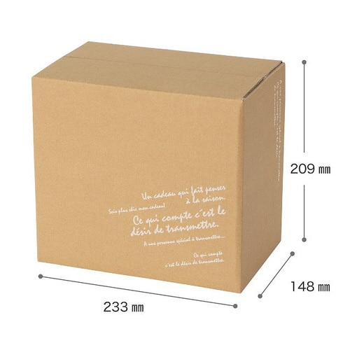 BKFデリバリーカートン−5 10枚×2