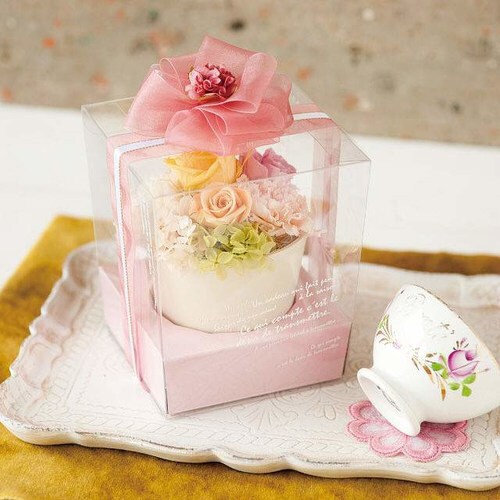 BKFフラワークリアBOX本体−S 10枚