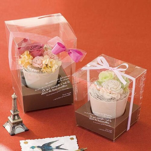 BKFフラワークリアBOX本体−S 10枚