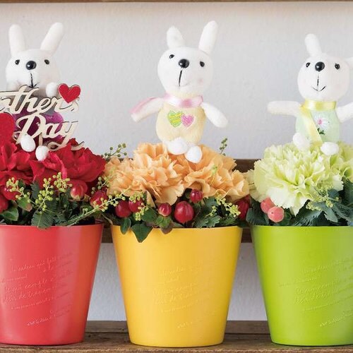 BKFポット/イエロー−3 10個×2