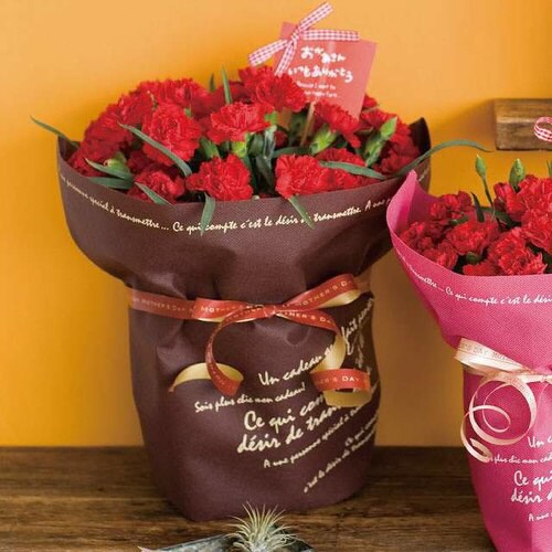 BKF不織布ポットカバー/ブラウン−6 10枚×2