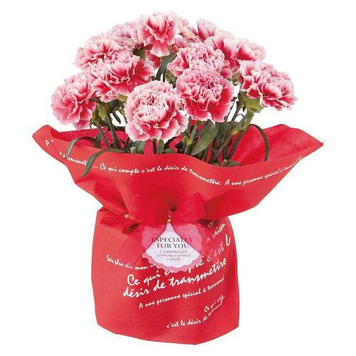 BKF不織布ポットカバー/レッド−5 10枚×2