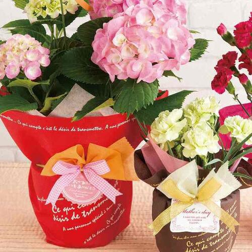 BKF不織布ポットカバー/レッド−6 10枚×2