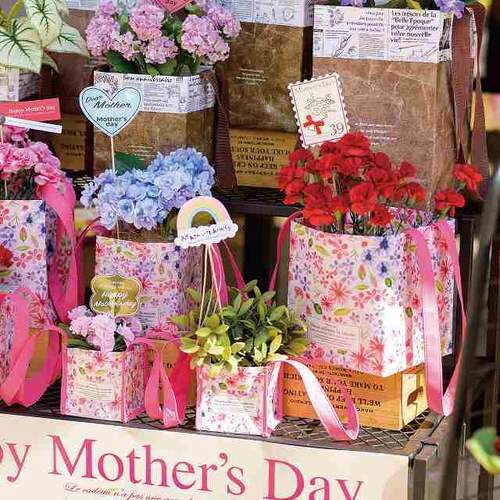 BNRペーパーバッグ5/ハーフ食品対応 100×2