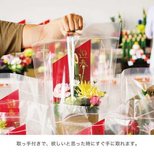 NEW無地クリアスタンドバッグ−L 30枚×2