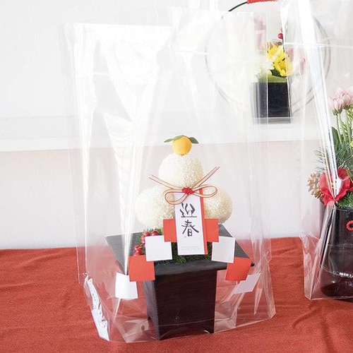 NEW無地クリアスタンドバッグ−M 30枚×2