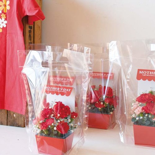 NEW無地クリアスタンドバッグ−S 30枚×3