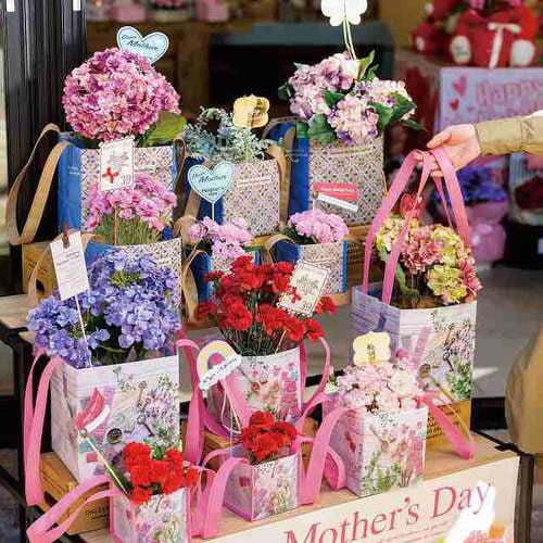 NEW無地クリアスタンドバッグ−XS 50枚×2