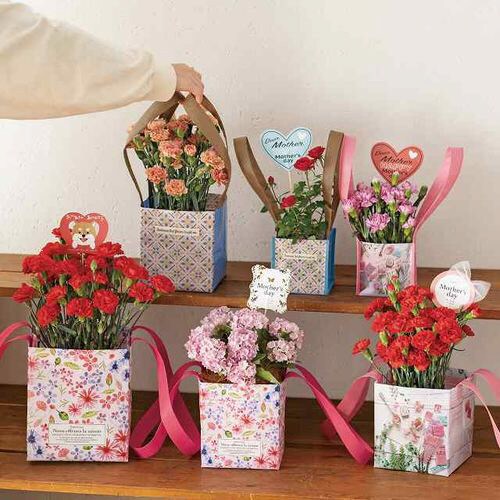 NEW無地クリアスタンドバッグ−XS 50枚×2