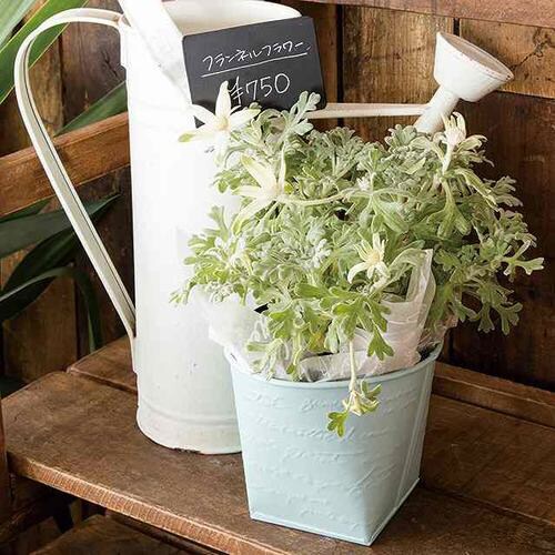 NFブリキポット−3/ブルー 6個×2