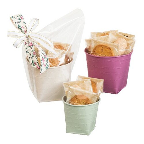 NFブリキポット−3/クリーム 6個×2