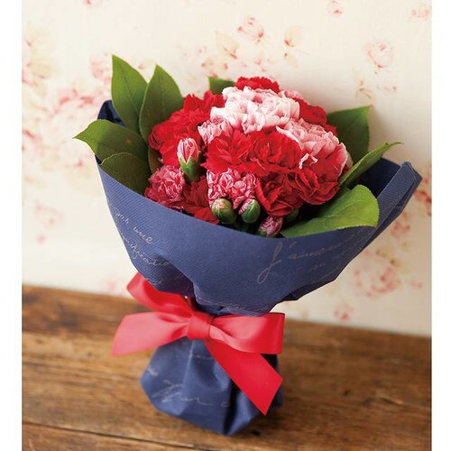 NF不織布ポットカバー/ネイビー−5 10枚×2