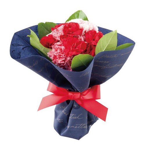 NF不織布ポットカバー/ネイビー−5 10枚×2