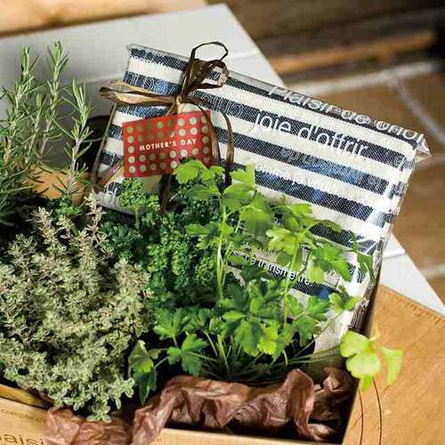 OPPロール/カフェオレ−1 1巻×2