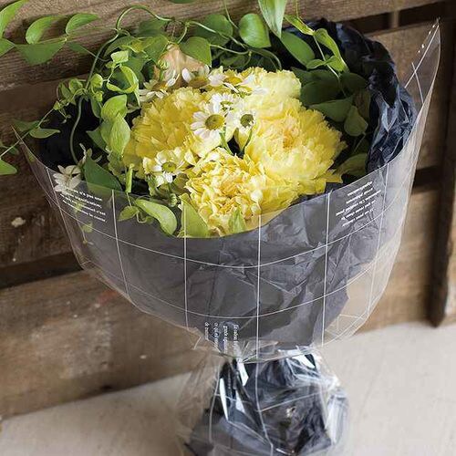 OPPロール/スクエア 1巻×2