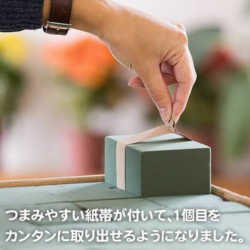 アーパス−フローラルフォーム/レギュラー 48個