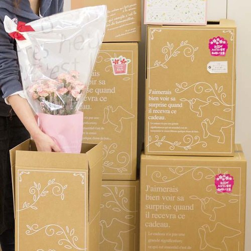 アジャストデリバリーカートン−4 20枚