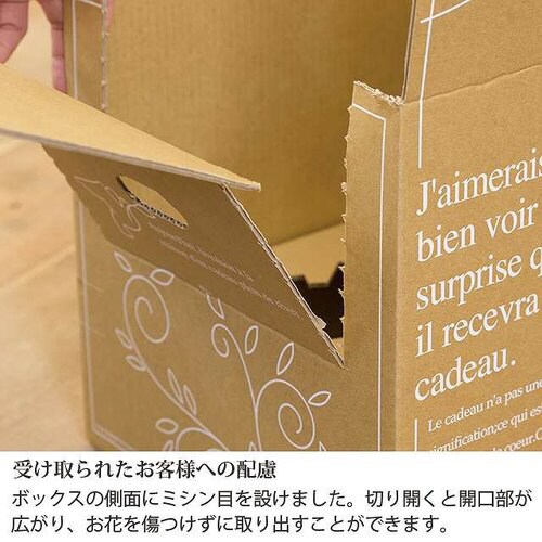 アジャストデリバリーカートン−4 20枚