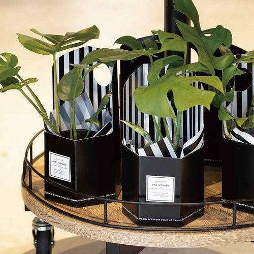 イージーフラワーペーパーボックス−Sフィエルテ×2