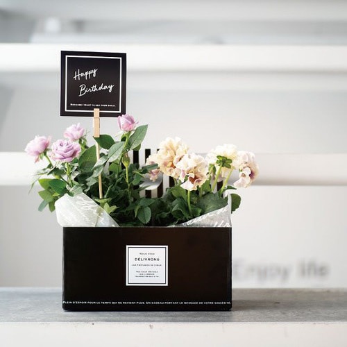 イージーフラワーペーパーボックス−WS/フィエルテ