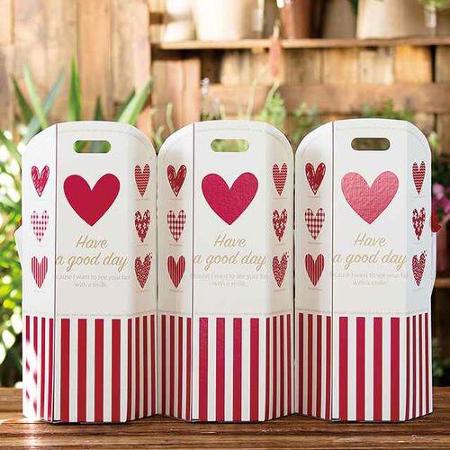 イージーフラワーペーパーボックス−M/ストライプ