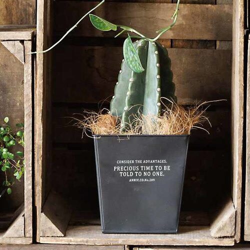 インダストリアルブリキポット−L/ブラック 6個