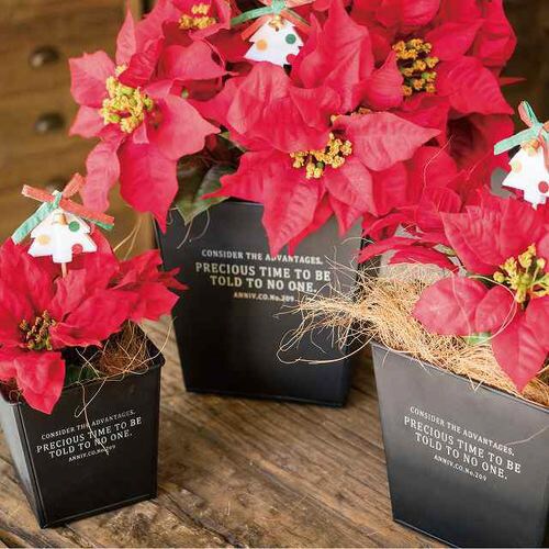 インダストリアルブリキポット−L/ブラック 6個