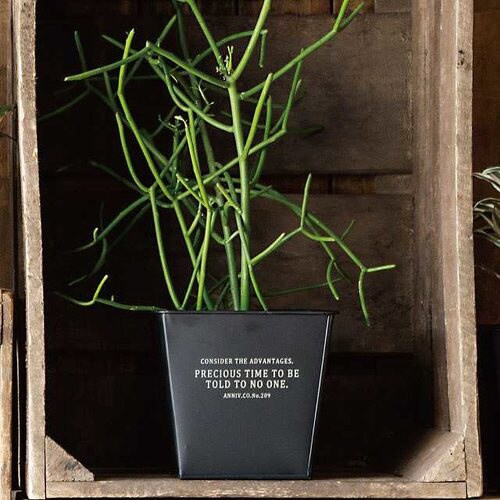 インダストリアルブリキポット−M/ブラック 6個