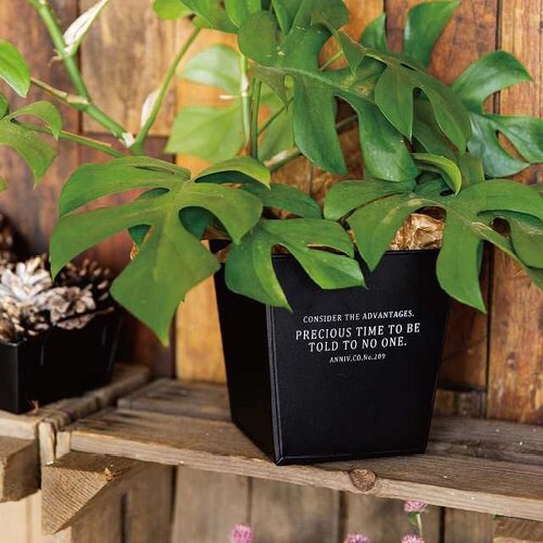 インダストリアルブリキポット−M/ブラック 6個