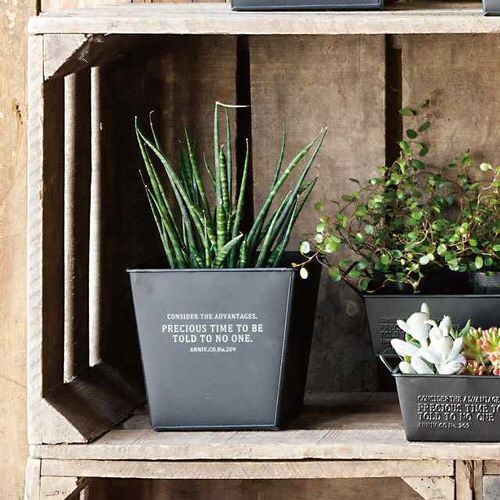 インダストリアルブリキポット−S/ブラック 10個