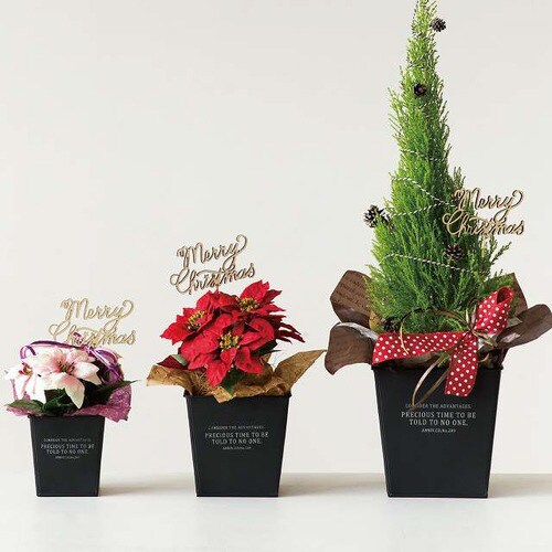 インダストリアルブリキポット−S/ブラック 10個