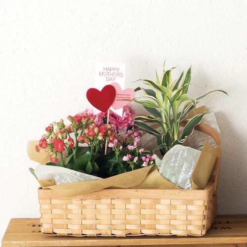 ウッドスクエアバスケット/ハンドル付−L 4個