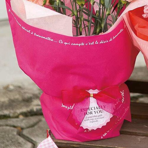 エスペシャリータッグ付ゴムリボン−1/ピンク×2