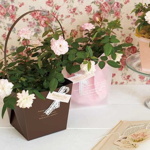 エスペシャリーフォーユーPPバスケット−M 10枚