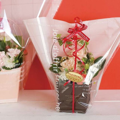 エスペシャリーフォーユーPPバスケット−M 10枚