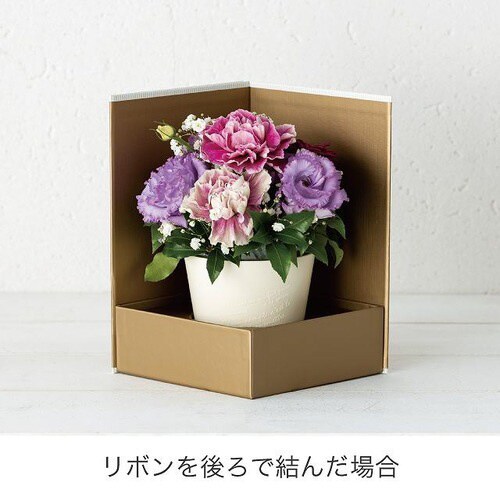 エレガントストライプギフトステージボックス−M4個