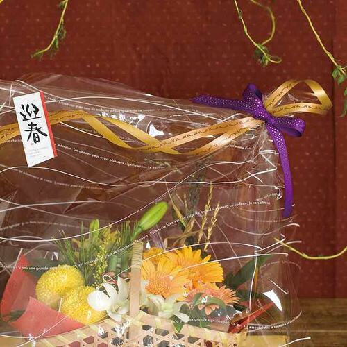 エレガントプリントカーリングリボン−1 1巻×5