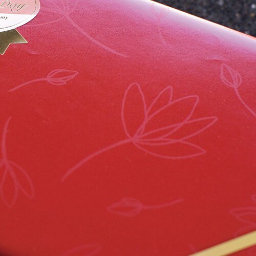 エレガント包装紙/赤−1 50枚×2